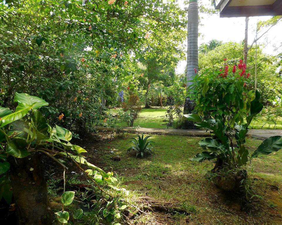 Green Corner Кауита Экстерьер фото